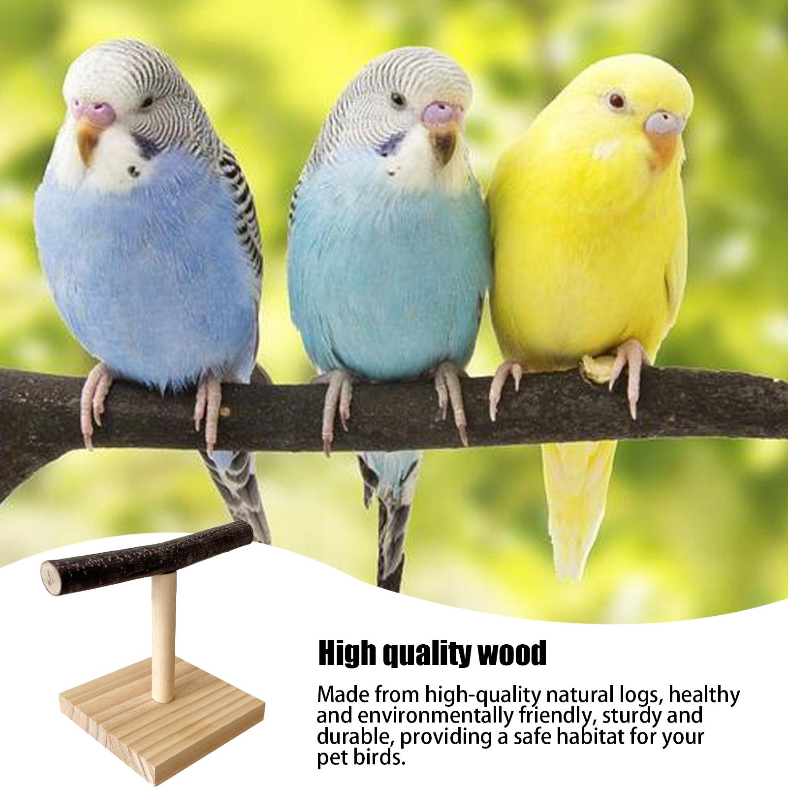Supporto per Pappagalli in Leg - Desk Setup Wood recensione e prezzo